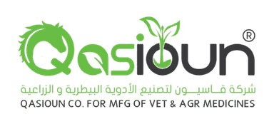 Qasioun